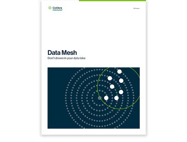Data mesh whitepaper