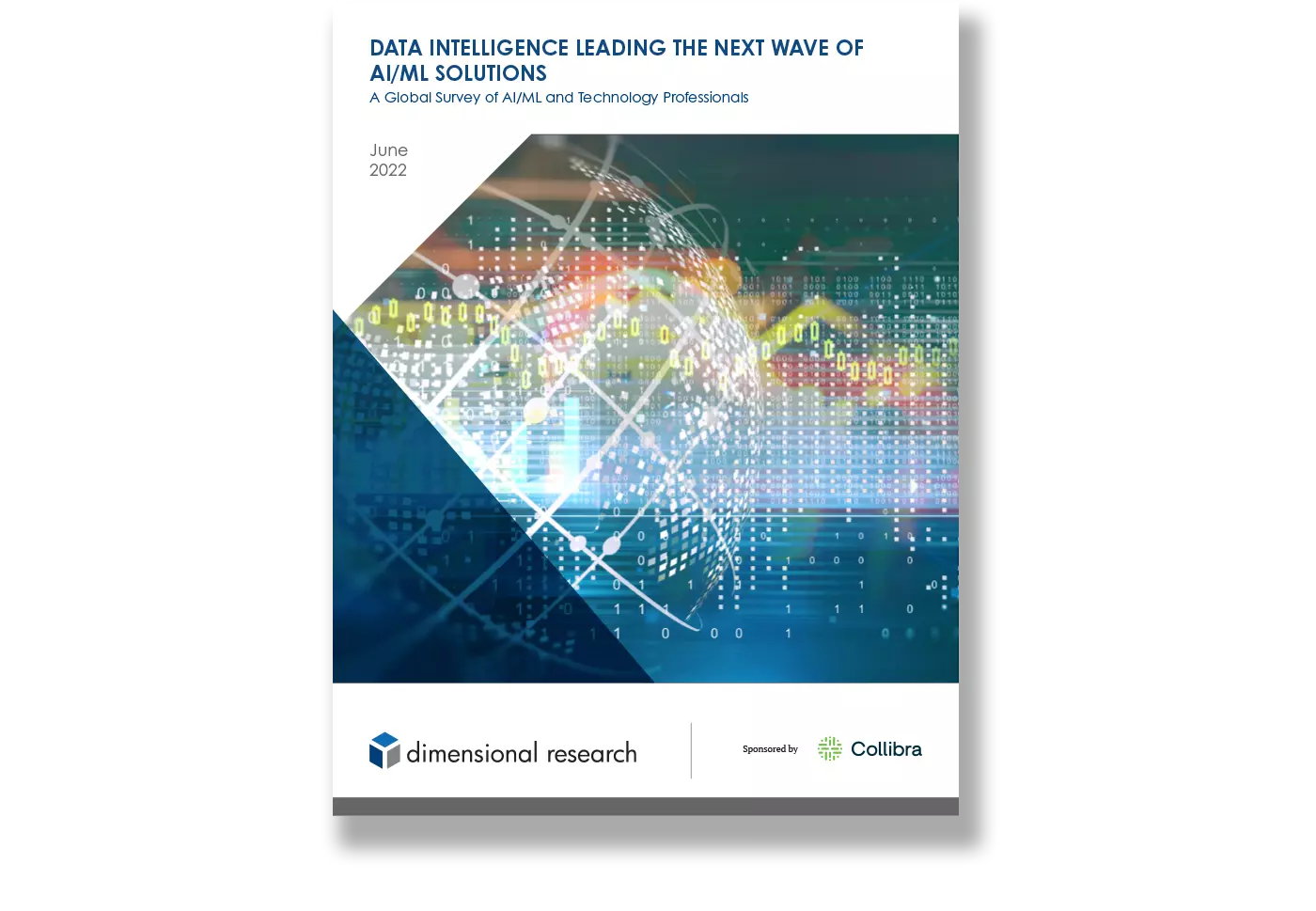 Data Intelligence Leading the Next Wave of AI/ML Solutions
A Global Survey of AI/ML and Technology Professionals
