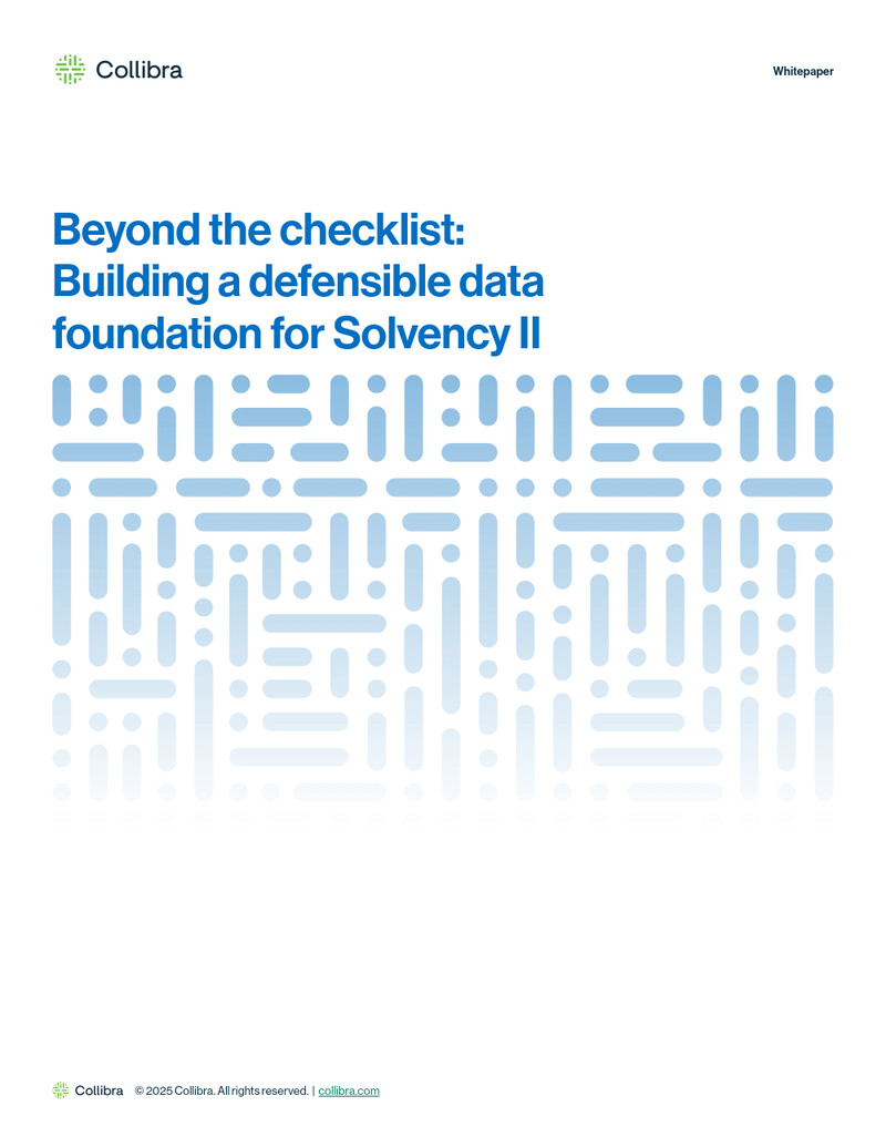 Beyond the checklist: Building a defensible data foundation for Solvency II cover image