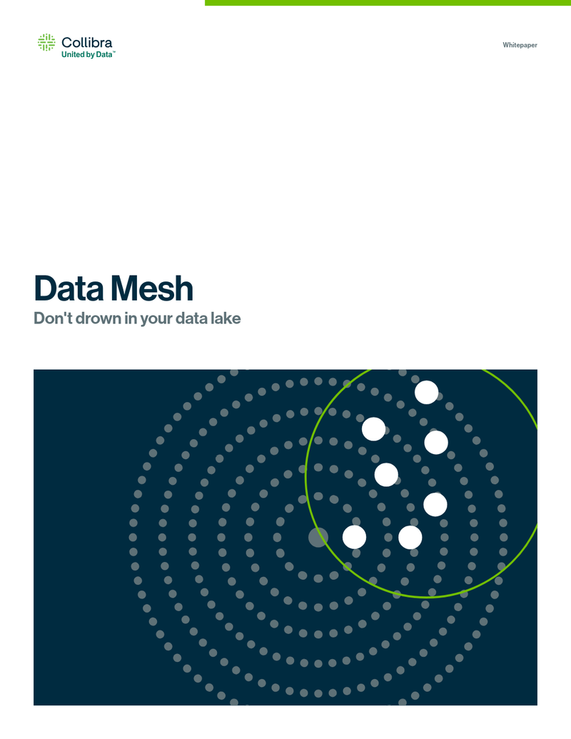 Data mesh: don’t drown in your data lake cover image