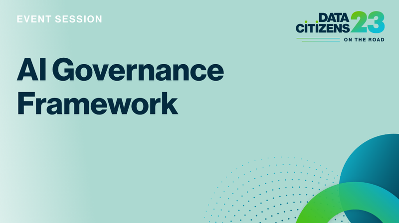 Data Citizens on the Road '23: AI governance framework cover image