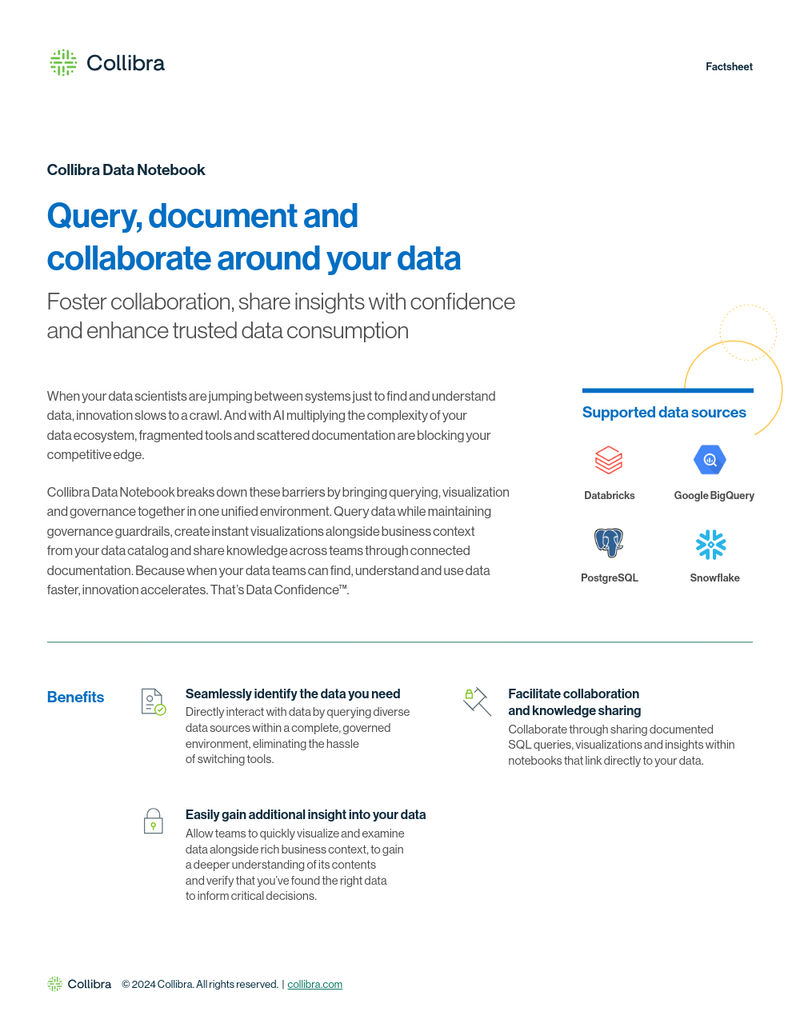 Collibra Data Notebook: Query, document and collaborate around your data cover image