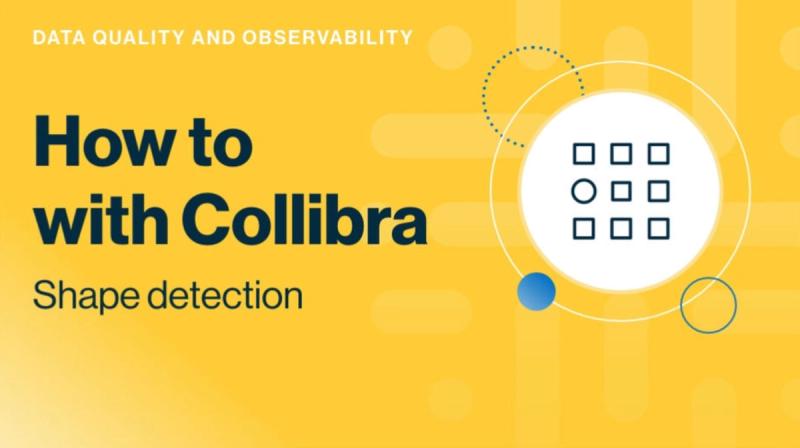 Keep your data in shape with Collibra Data Quality & Observability demo: shape detection cover image