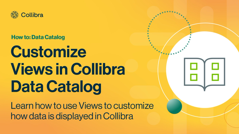Customize Views in Collibra Data Catalog cover image