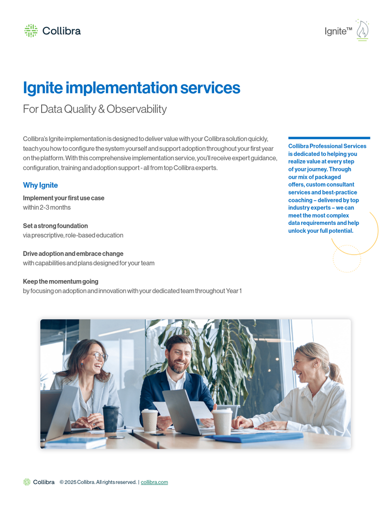 Ignite implementation service for Collibra Data Quality cover image