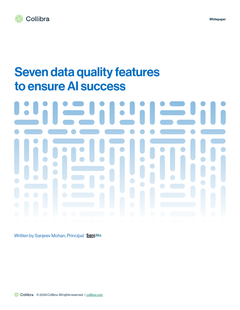 Seven Data Quality Features for AI Success cover image