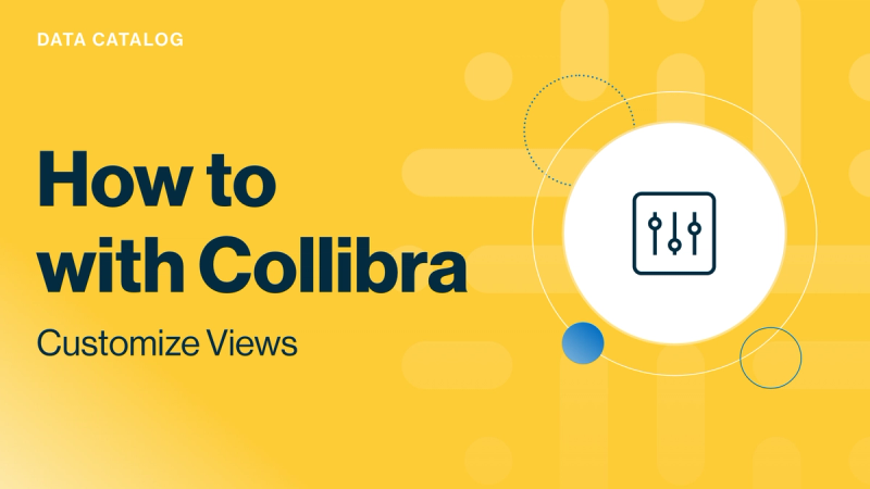 Collibra Data Catalog: customize views cover image