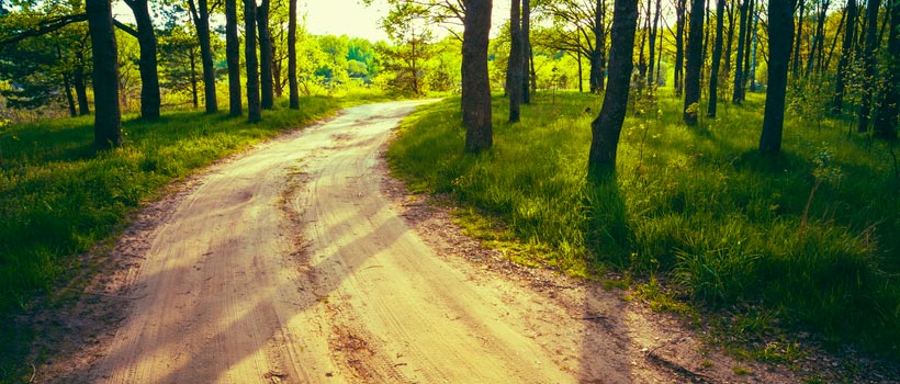 Data Citizens and their Data Governance Journey