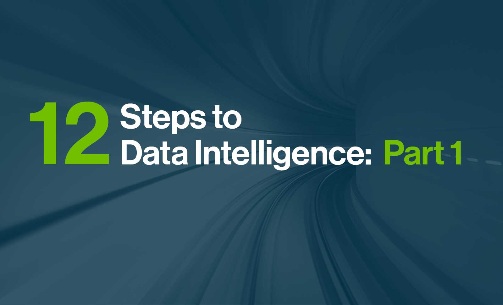 12 Steps to Data Intelligence