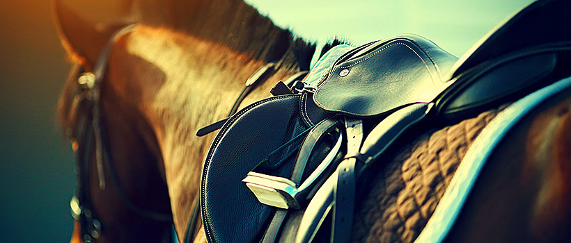 The Burr Under Your Saddle: Solutions to Data Governance Adoption Challenges