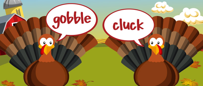 Talking Turkey: The Governance of the Gobble
