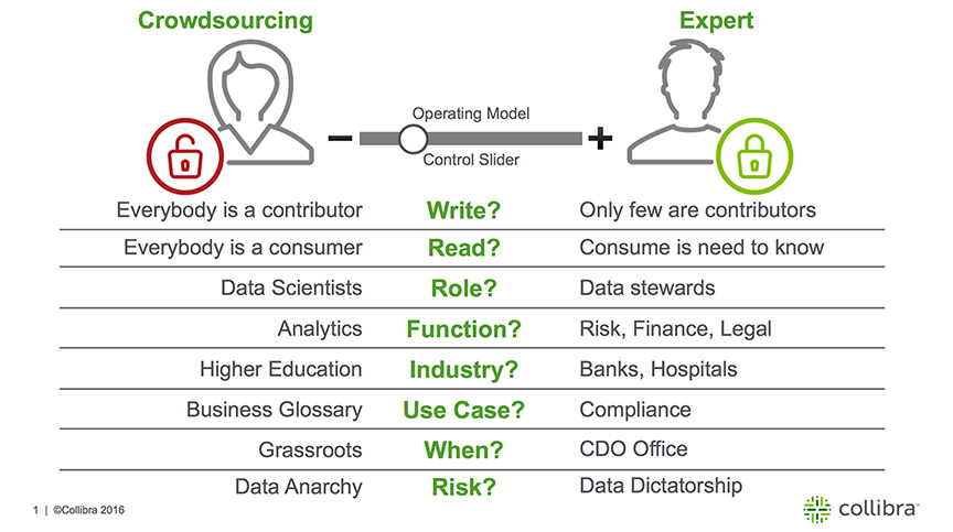 Crowdsourcing Data Governance